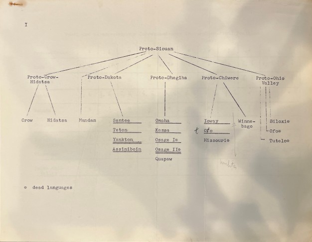 An outdated Siouan language family tree