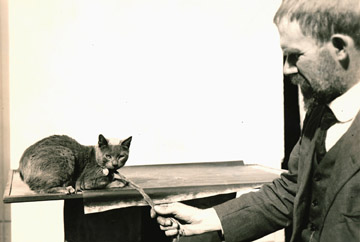 Charles B. Davenport e gato