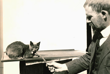 Charles B. Davenport și cat