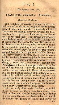 Marshall's description of Franklinia, page 1