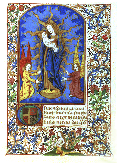 A Medieval French Book Of Hours