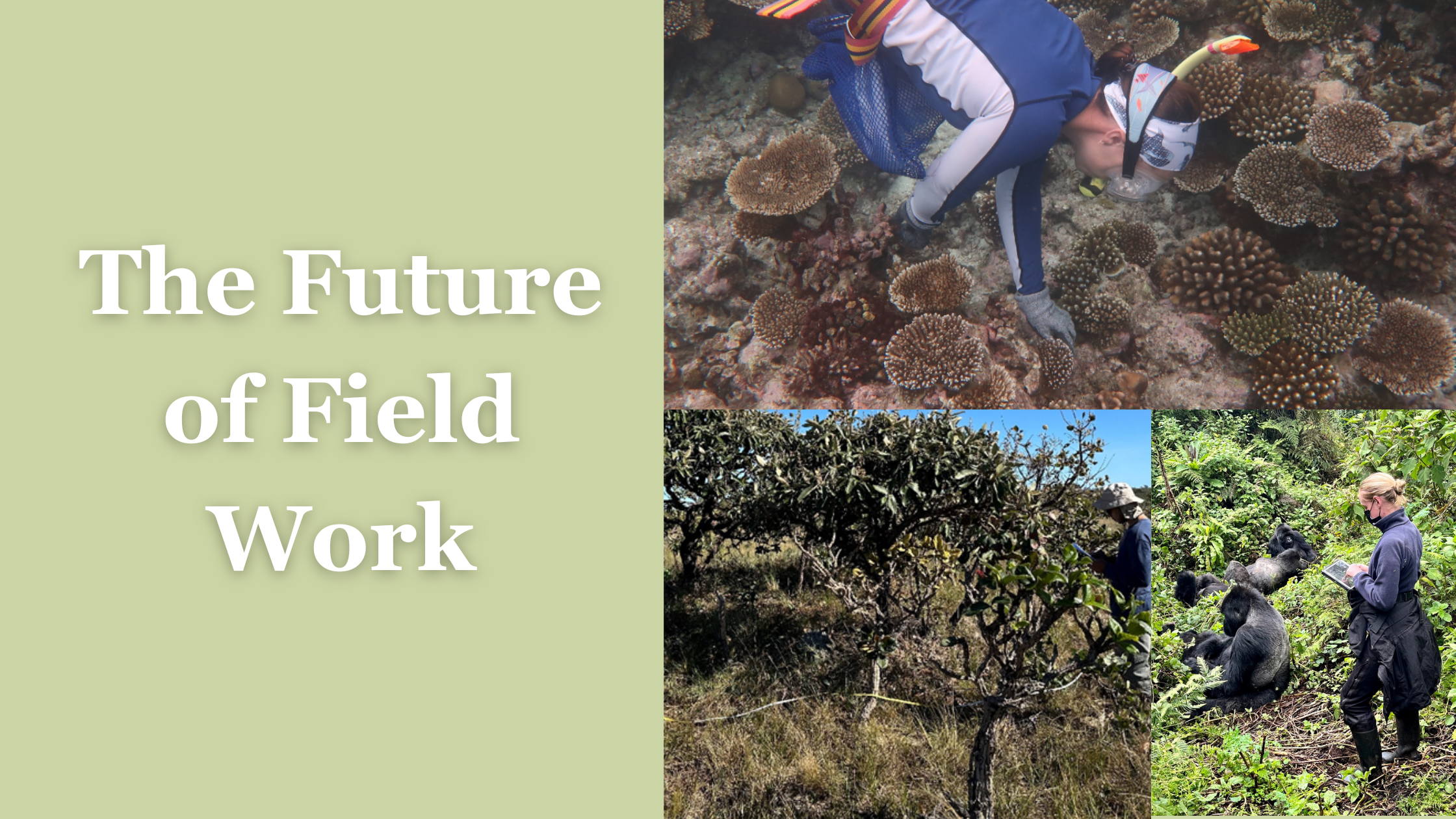 Fieldwork Conference Image