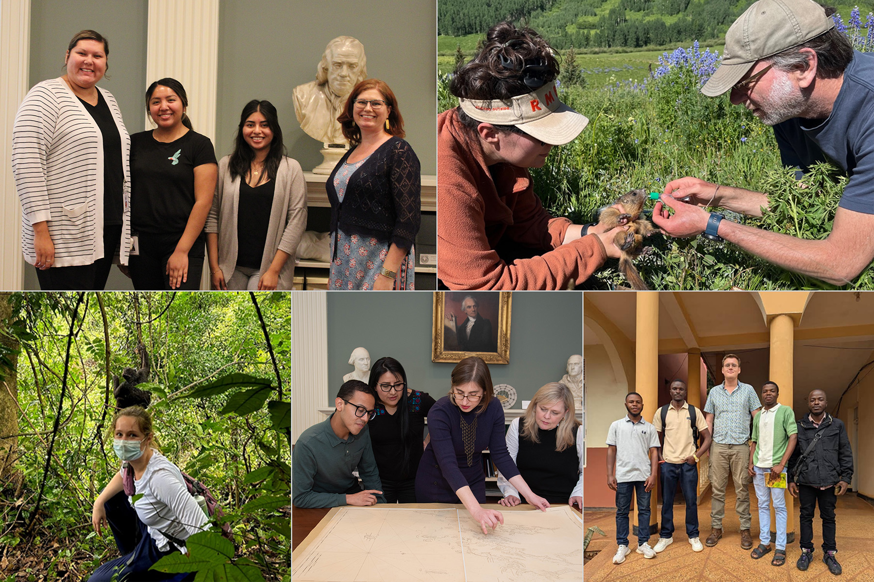 A collage of grantees and fellows doing research and fieldwork.