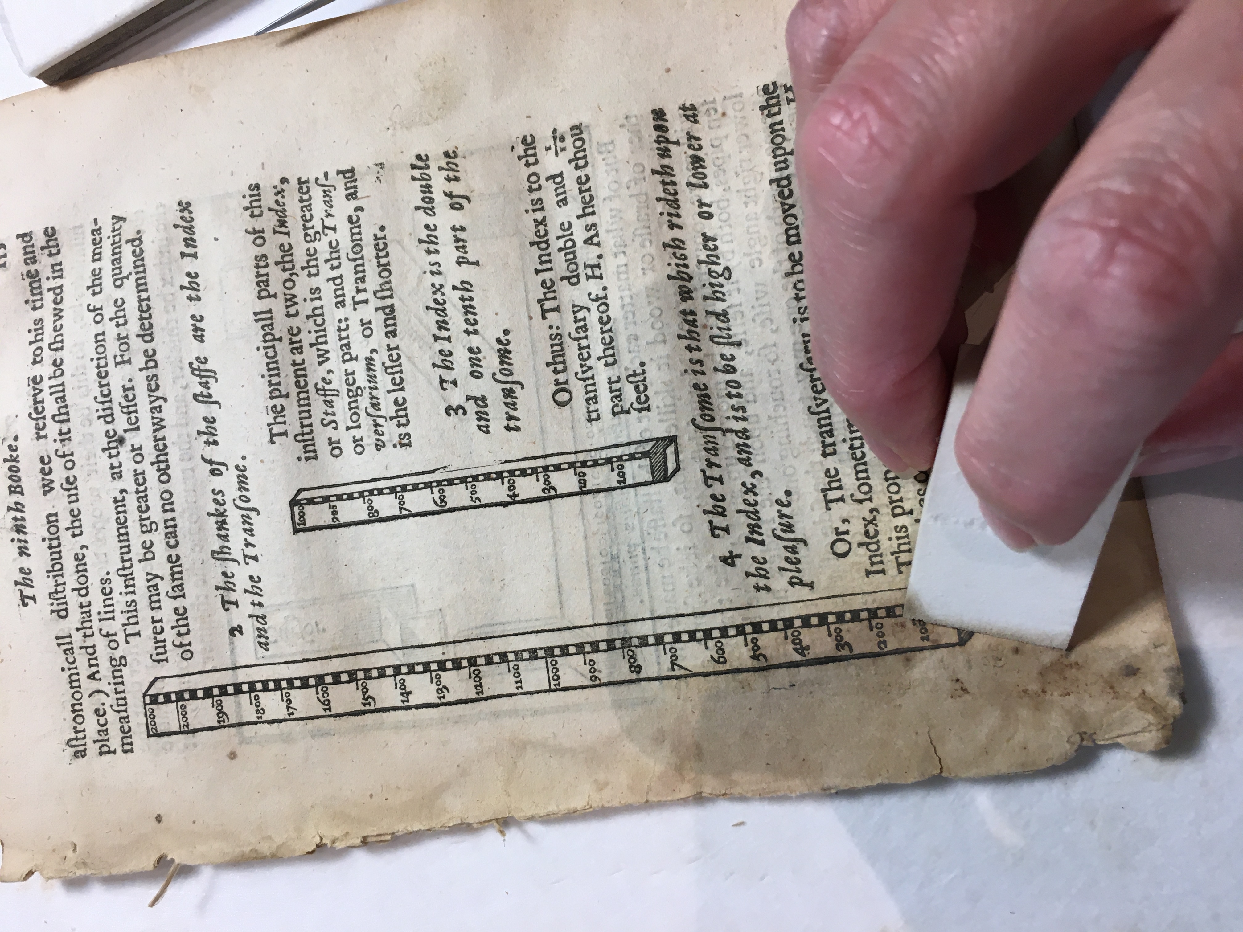 photo of cleaning treatment of book