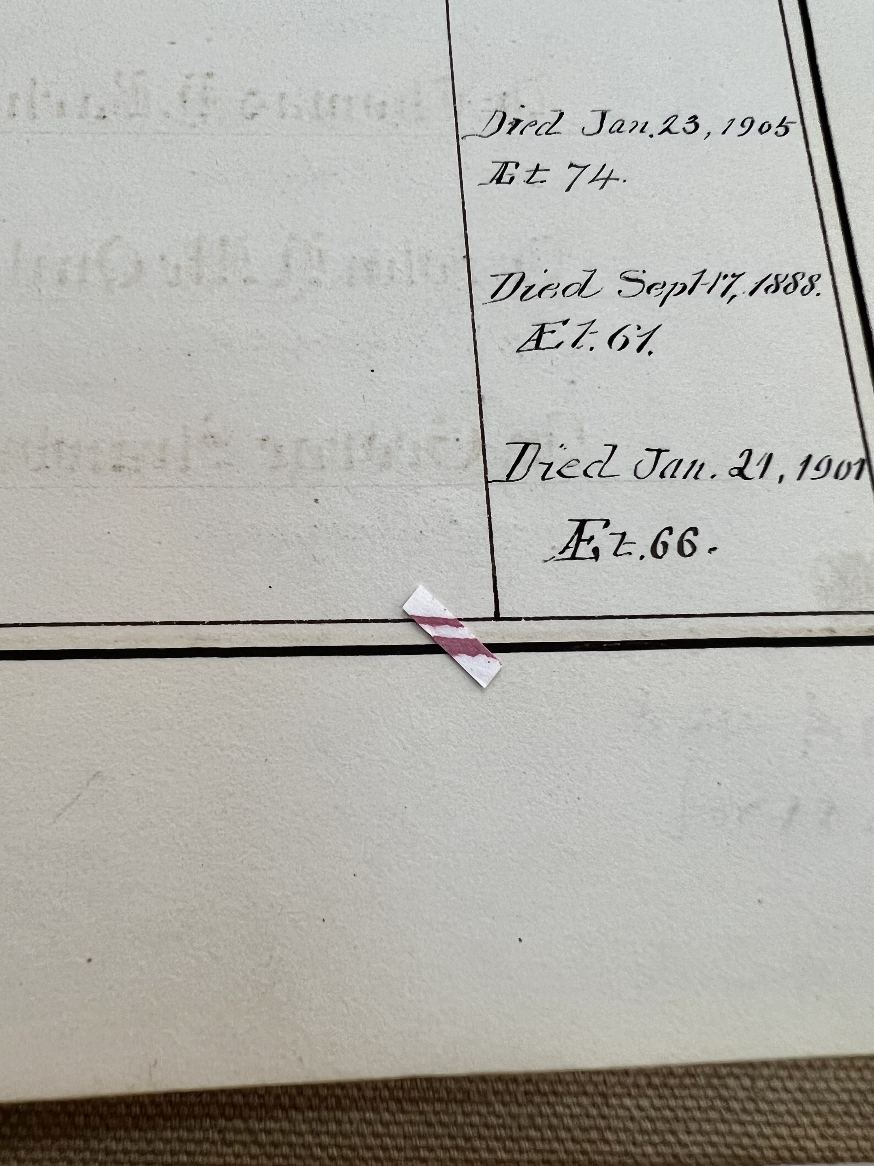 photo of test strip on book with two red lines indicating positive presence of iron gall ink