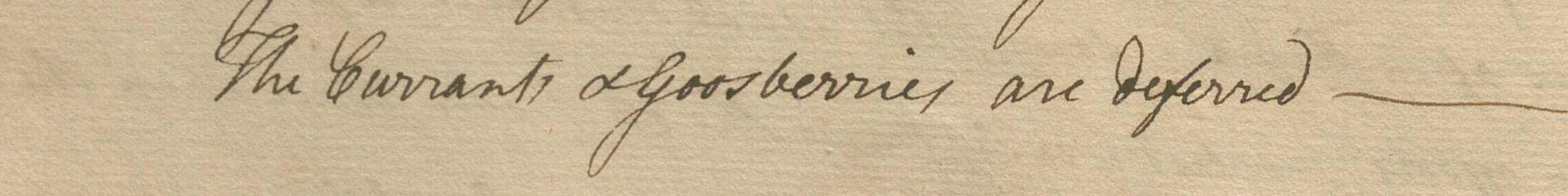 "The currants and gooseberries are deferred" in a notebook darkened with age. 