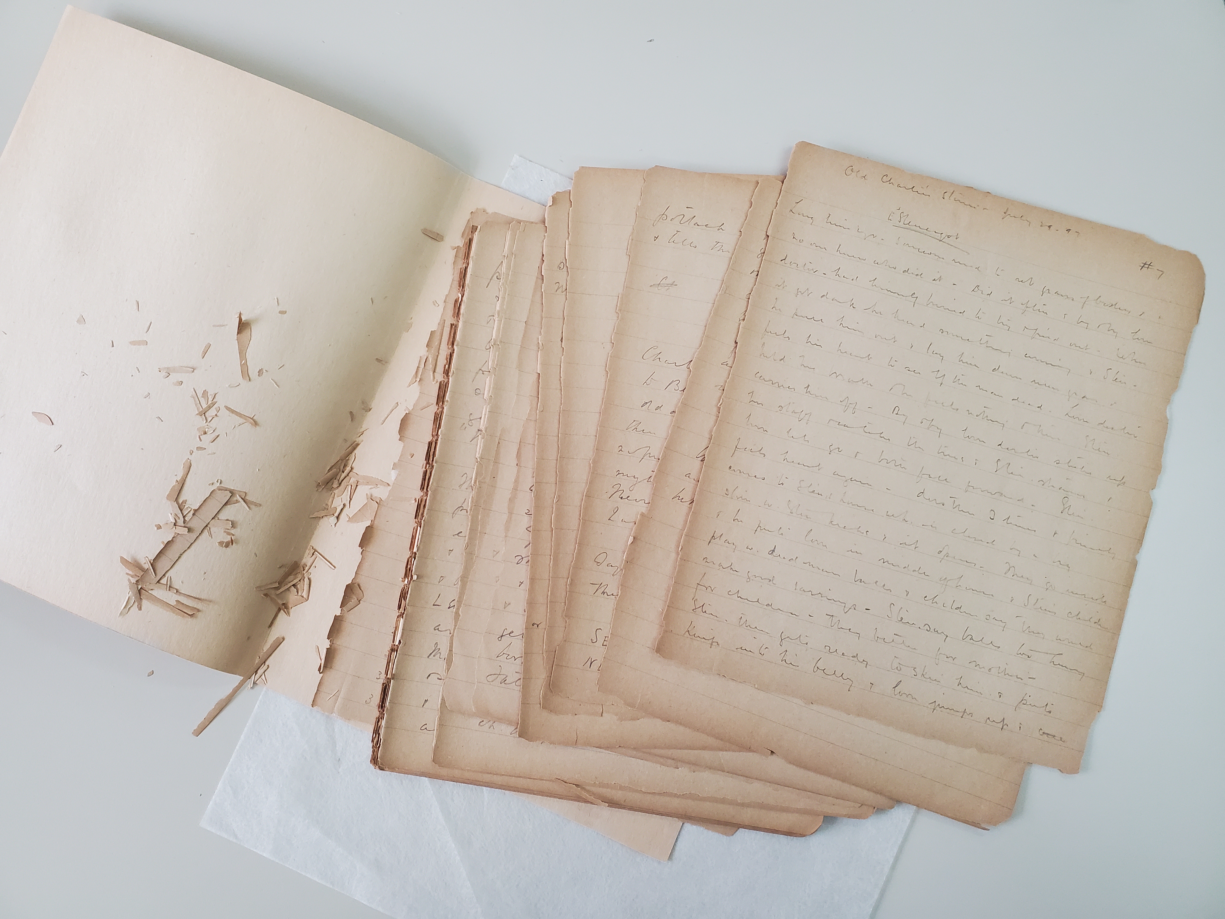 photo of pages of manuscript falling out of notebook