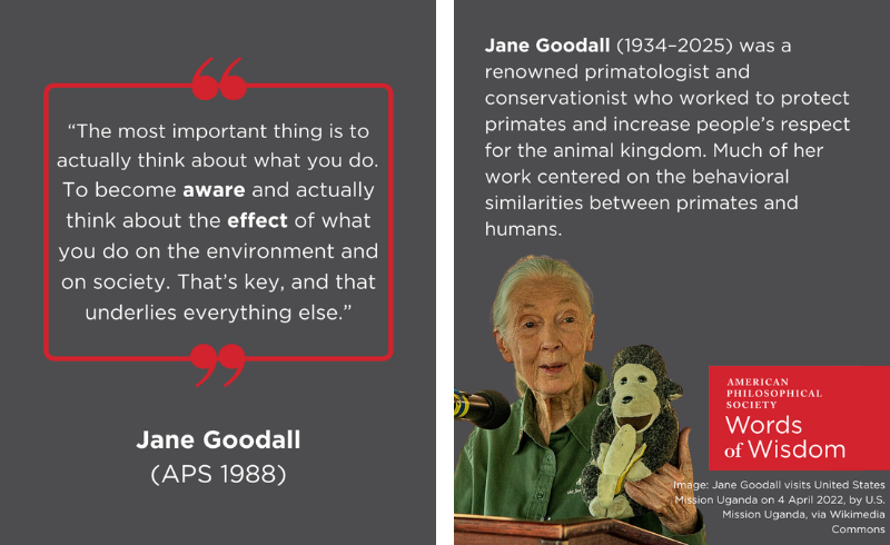 Jane Goodall quote and bio