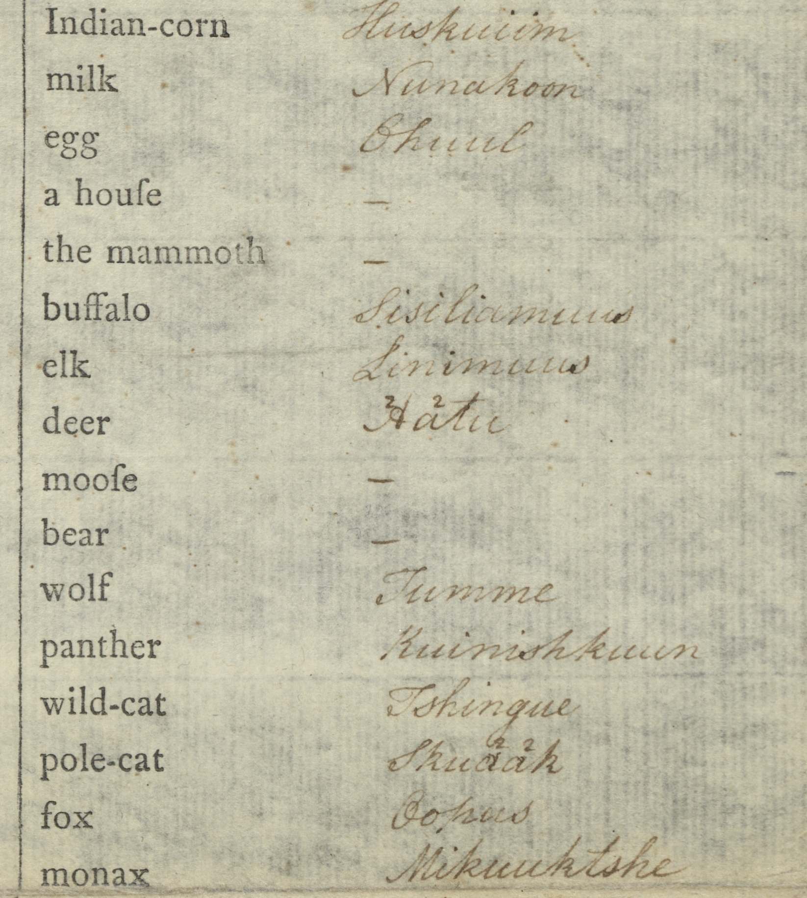 image of Delaware word list