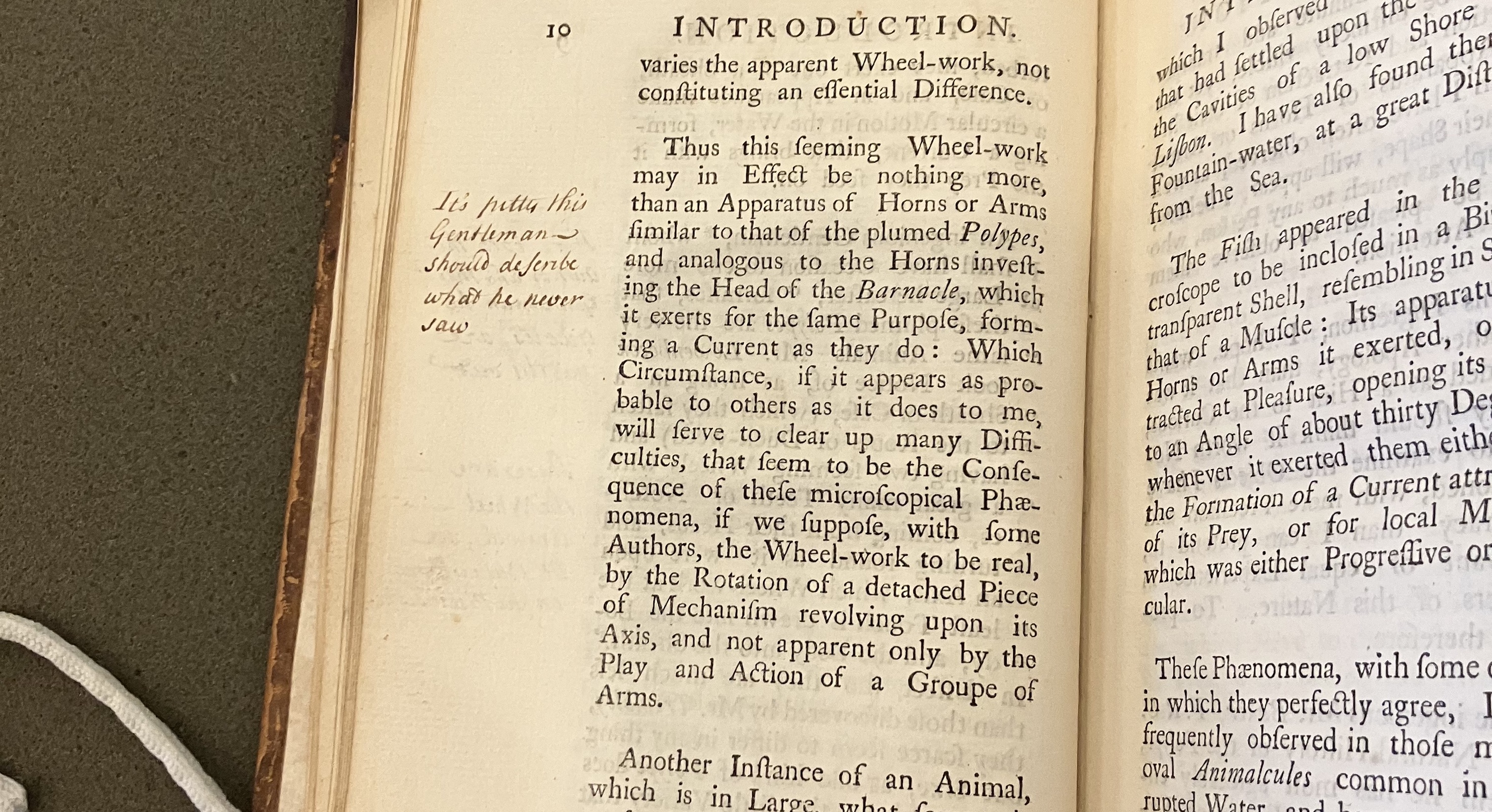 photo showing annotation in book