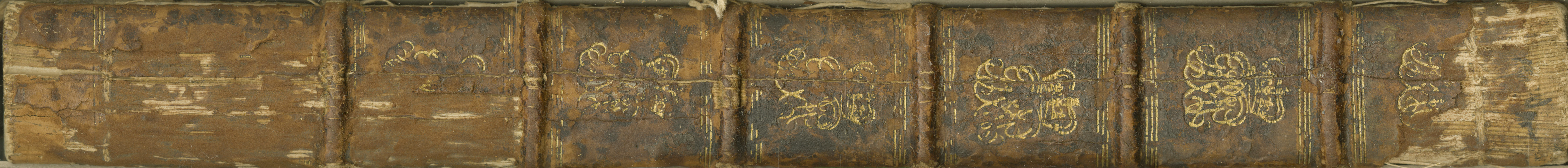 Scan of the book spine before leather removal