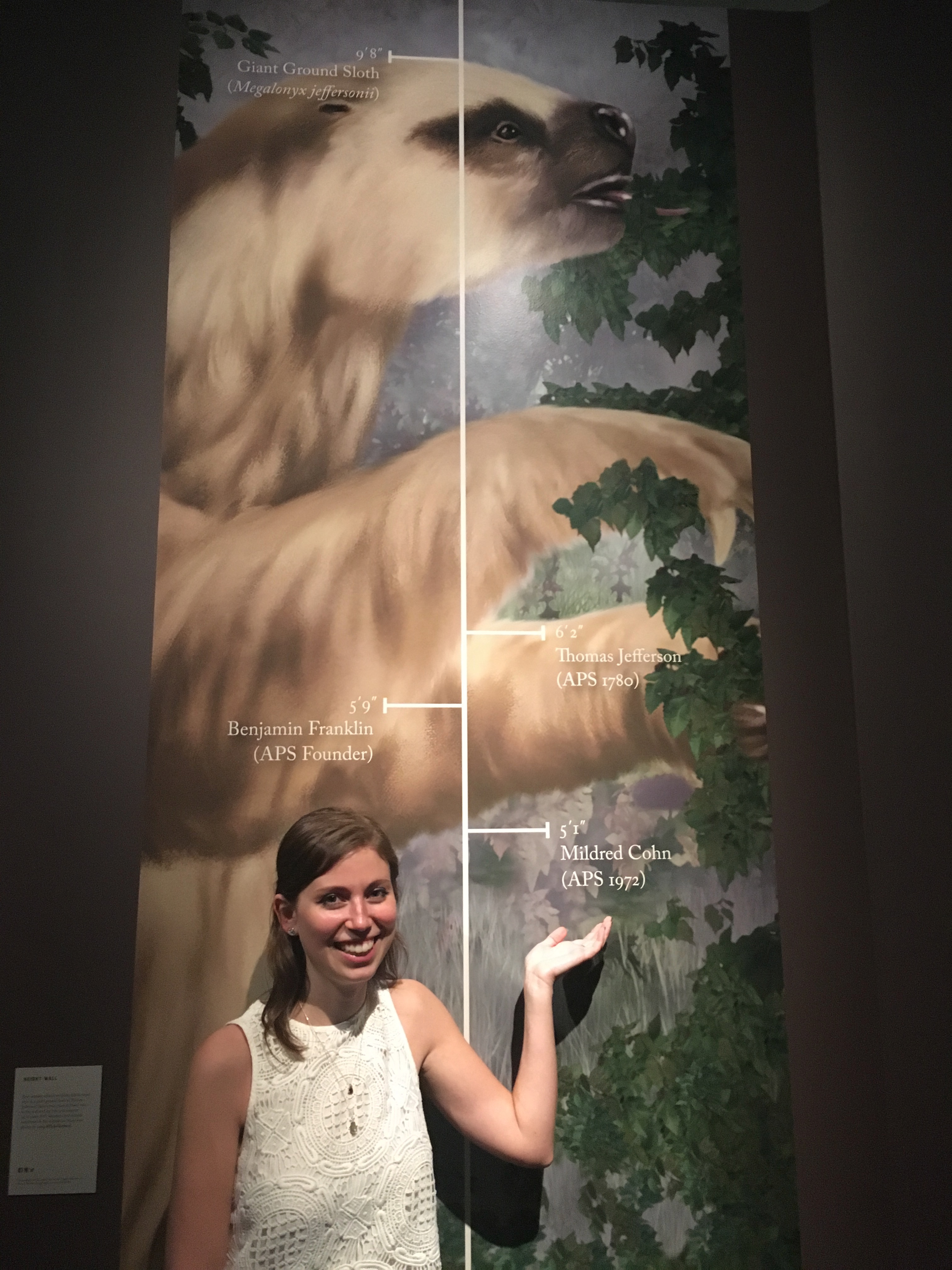 young woman standing in front of height chart with image of sloth