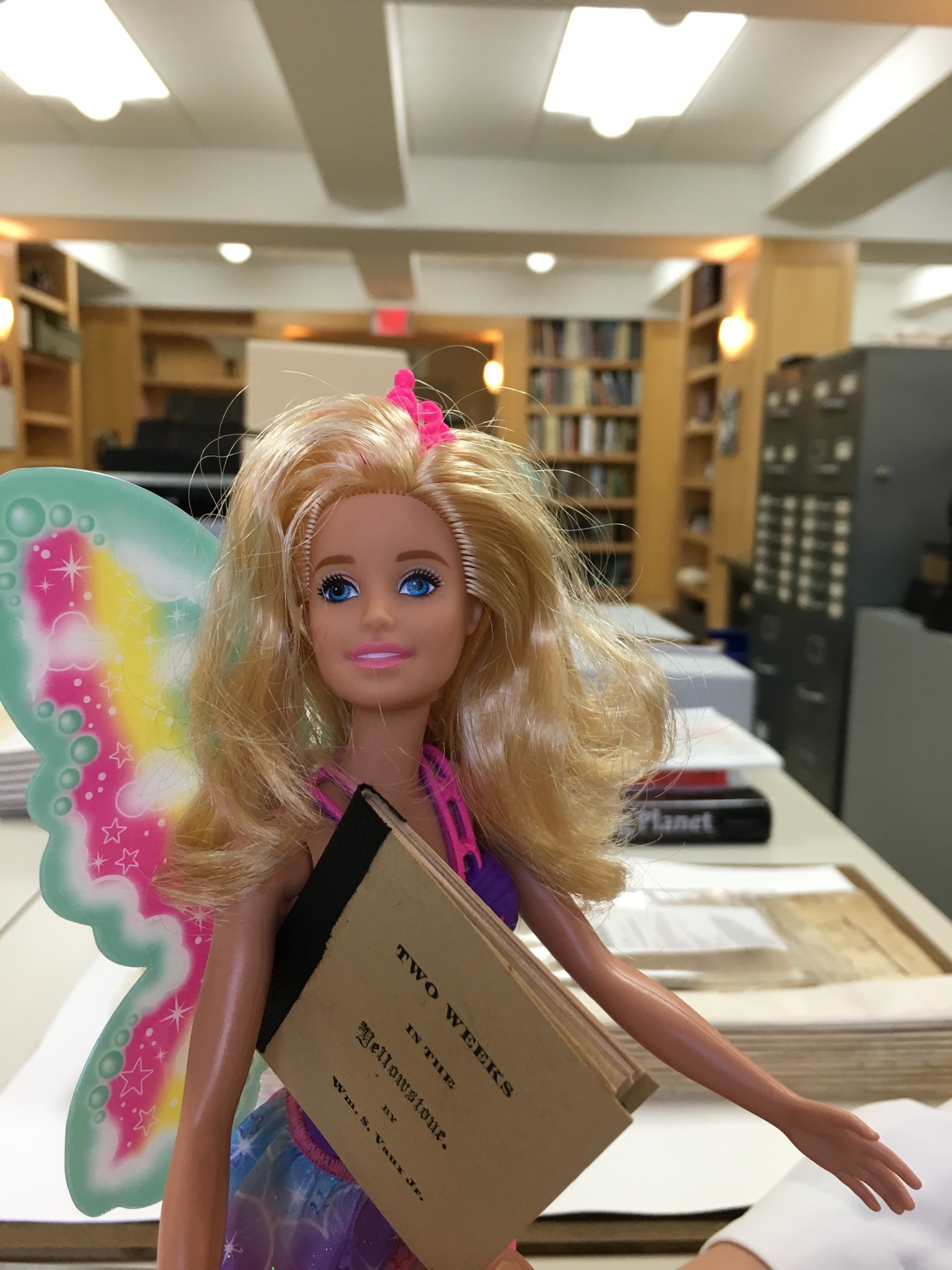 librarian barbie