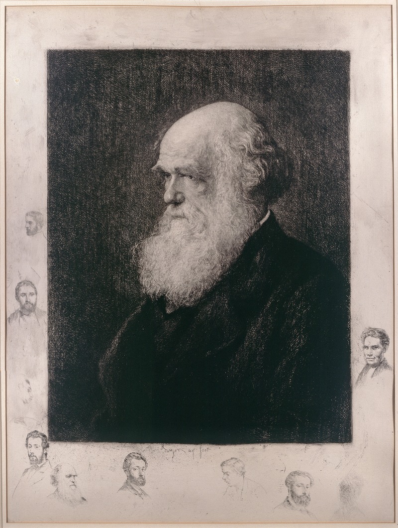 etching of charles darwin