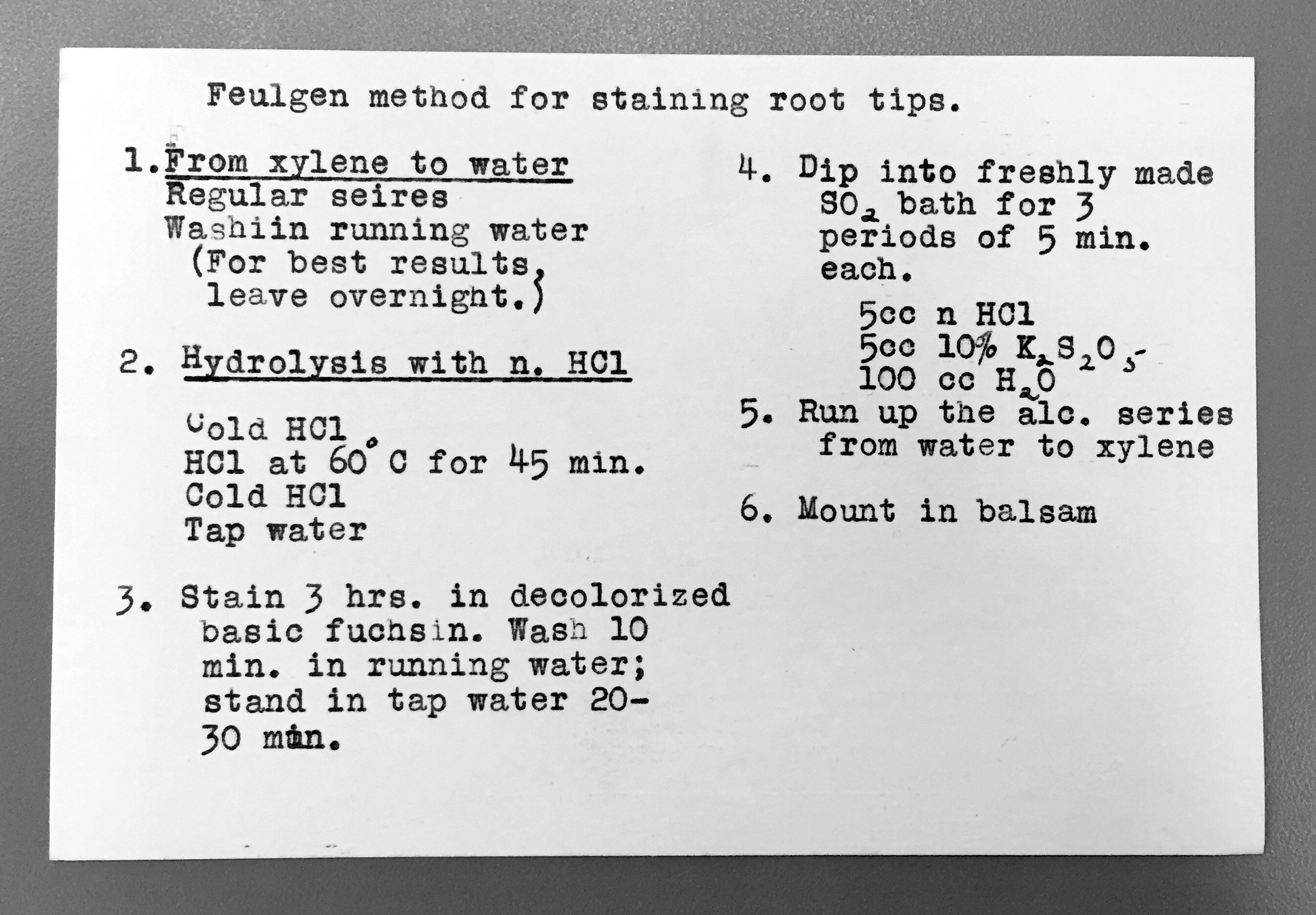 Slide Staining Recipe 