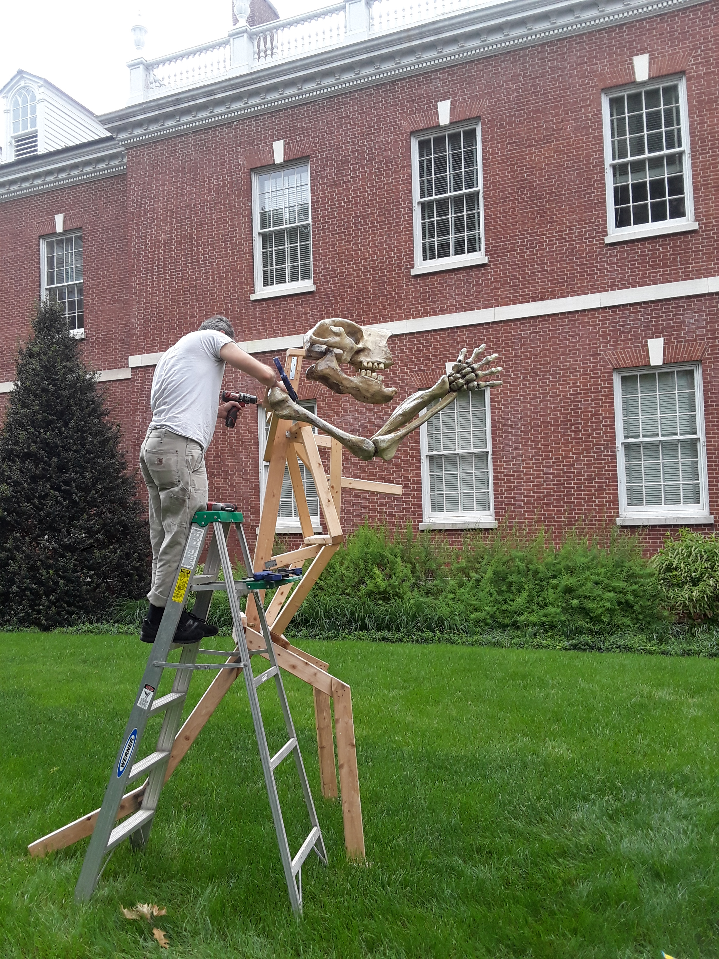 man working on skeleton sculpture