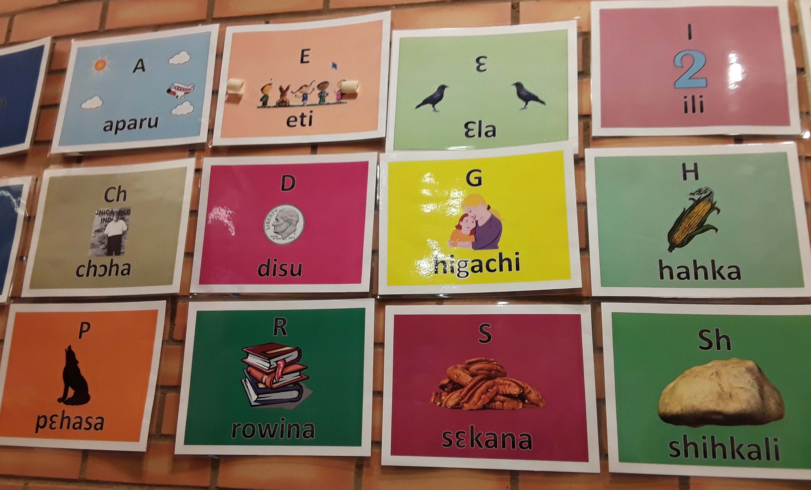 Color image of cards on a wall listing the letters of the Tunica alphabet with example words and pictures.