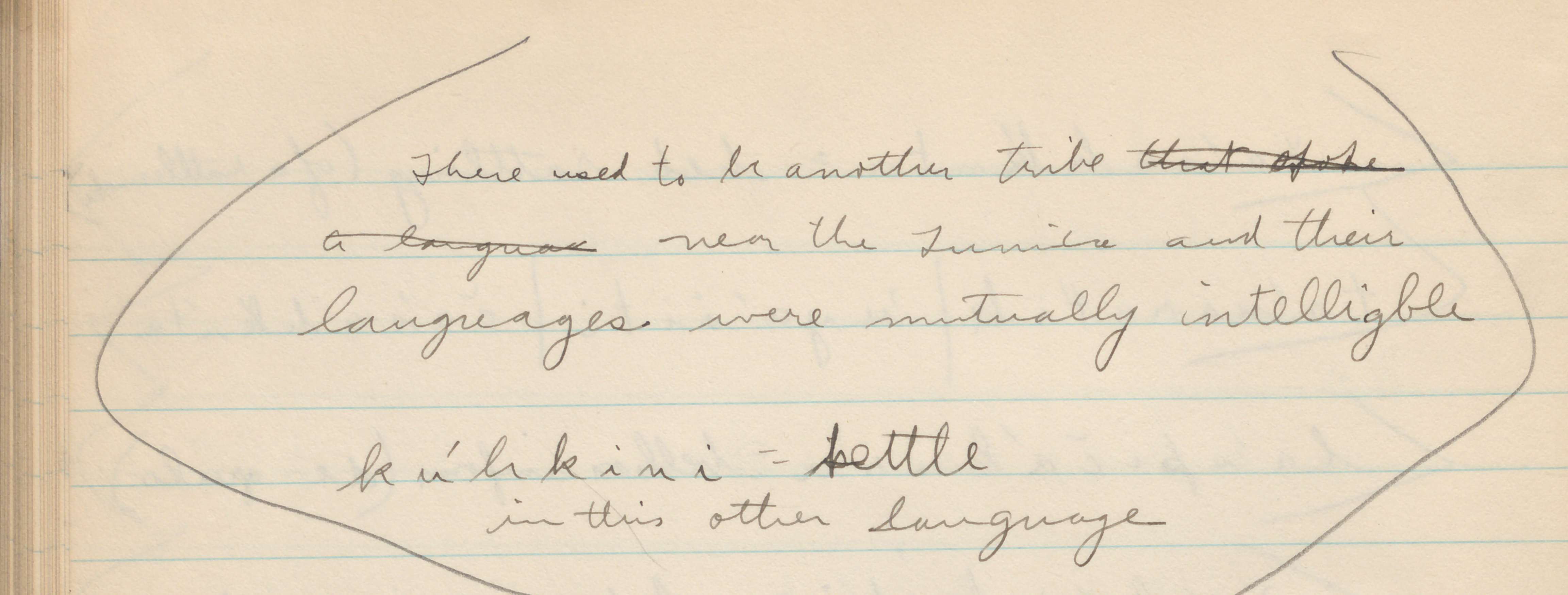 Detail of Tunica notebook 9, page 180