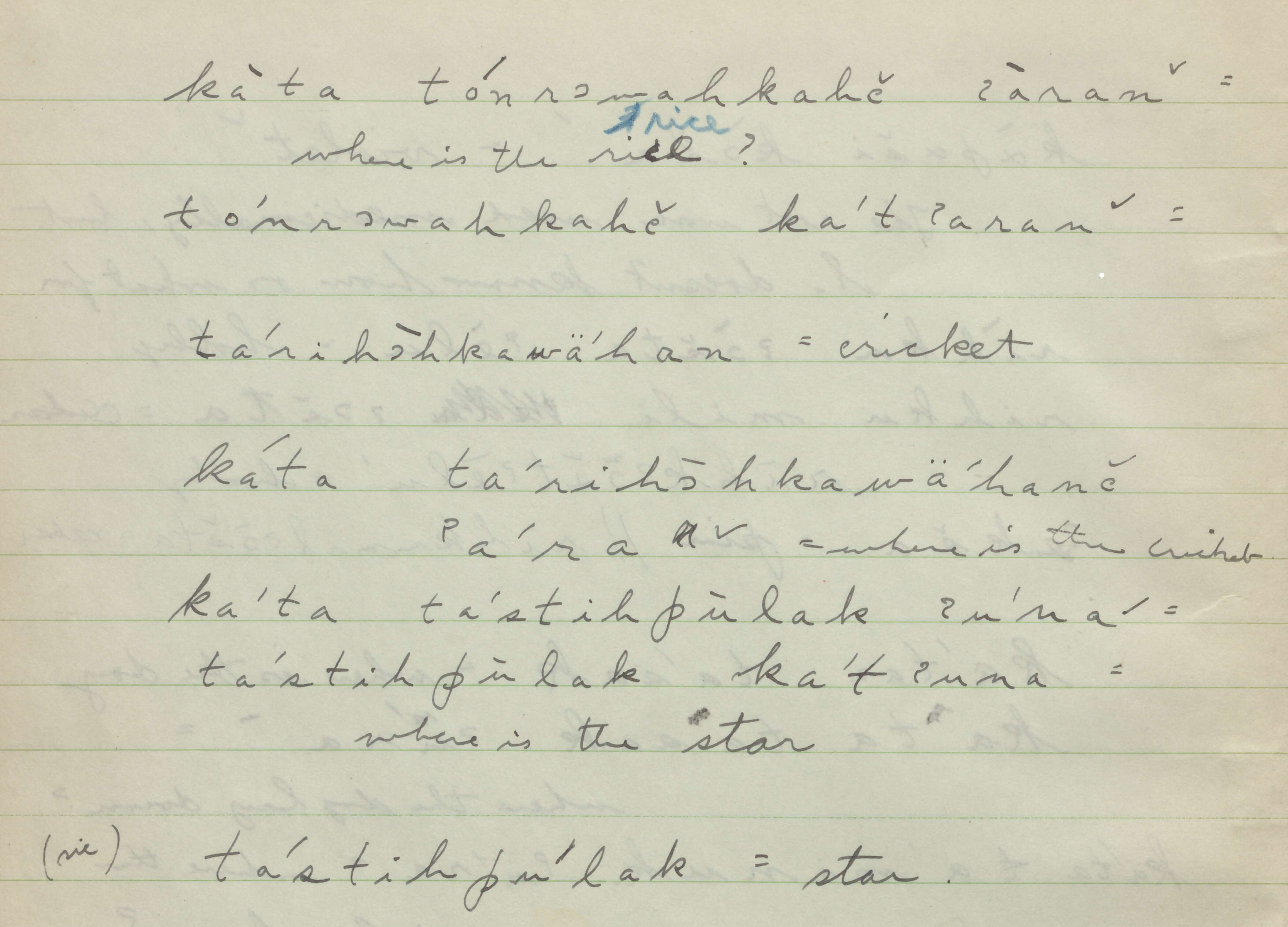 Detail of Tunica notebook 14, page 2