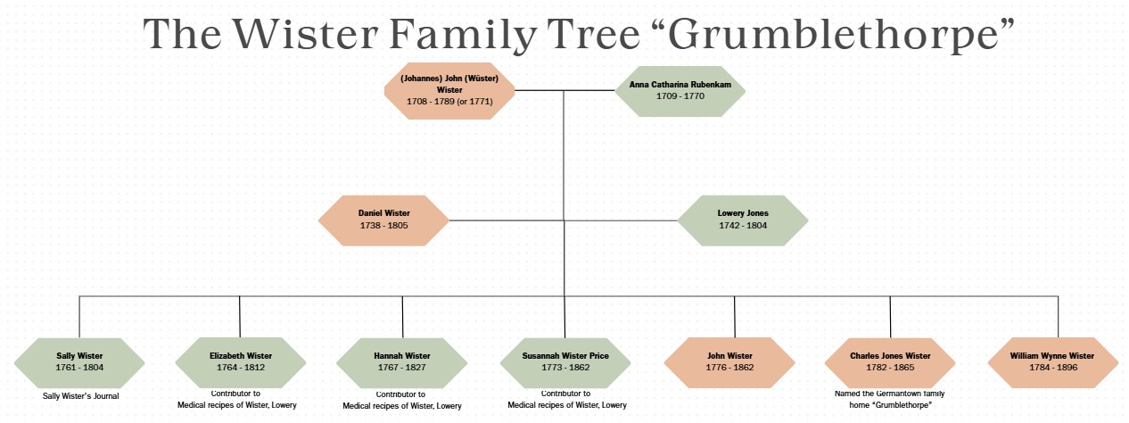 A graphic of the Wister Family Tree.