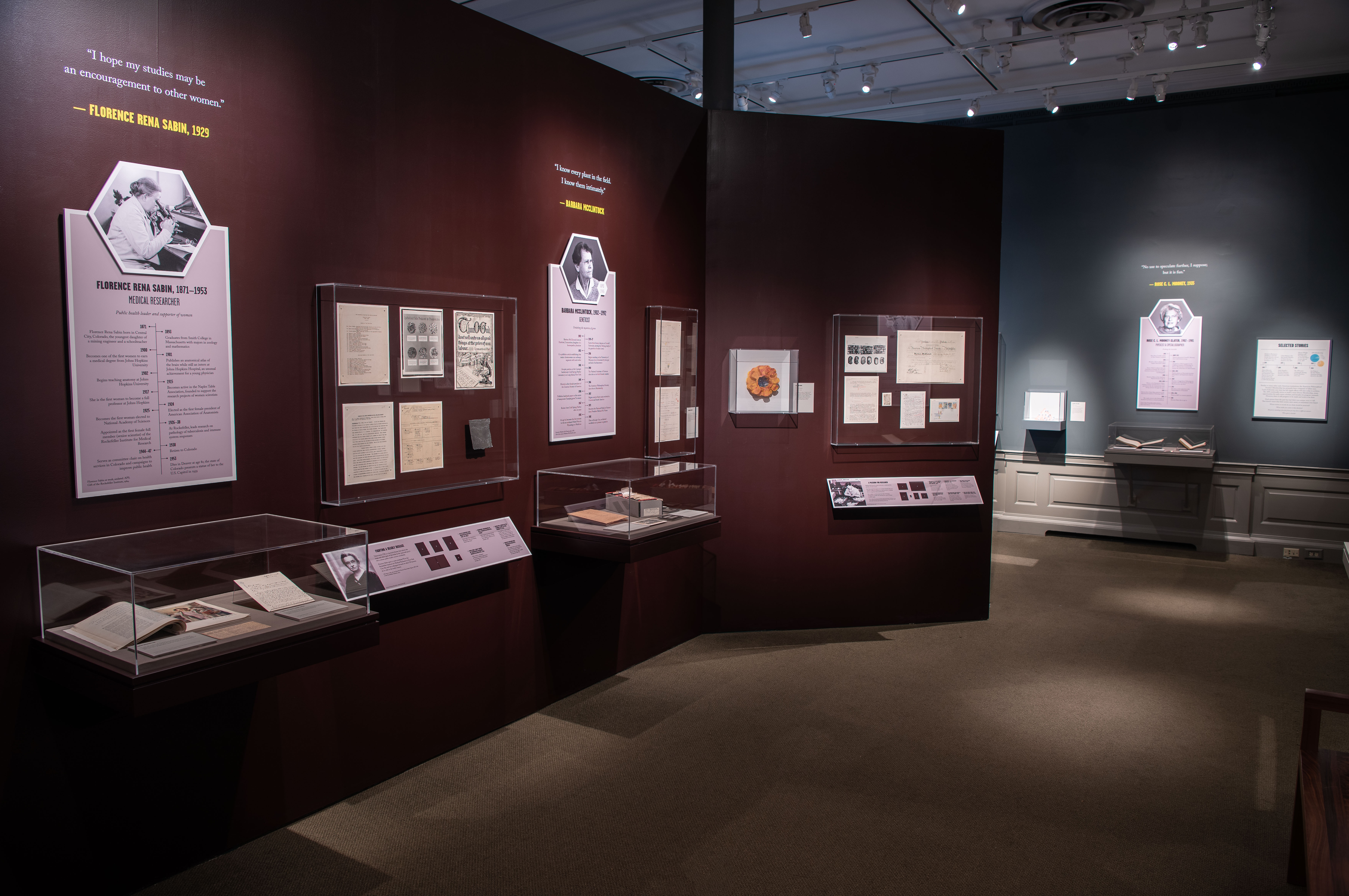 view of the exhibition