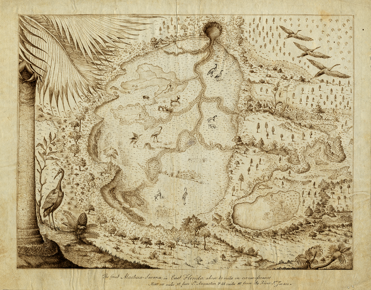map with drawings of birds