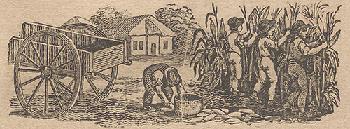 sketch of people harvesting corn 