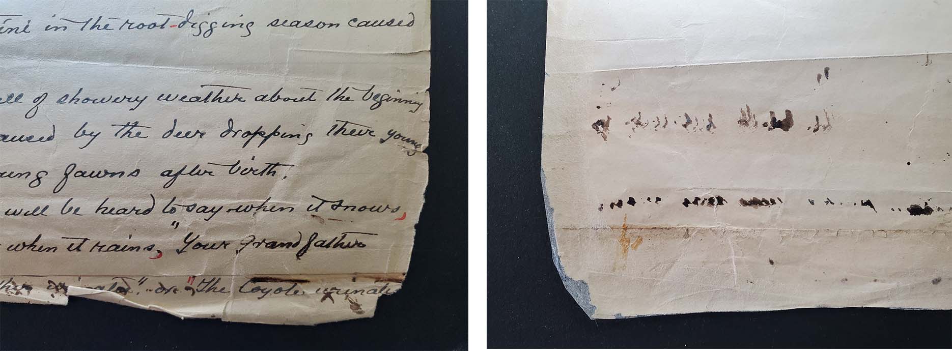 side-by-side photo of manuscript corner, before treatment on left and after mend on right