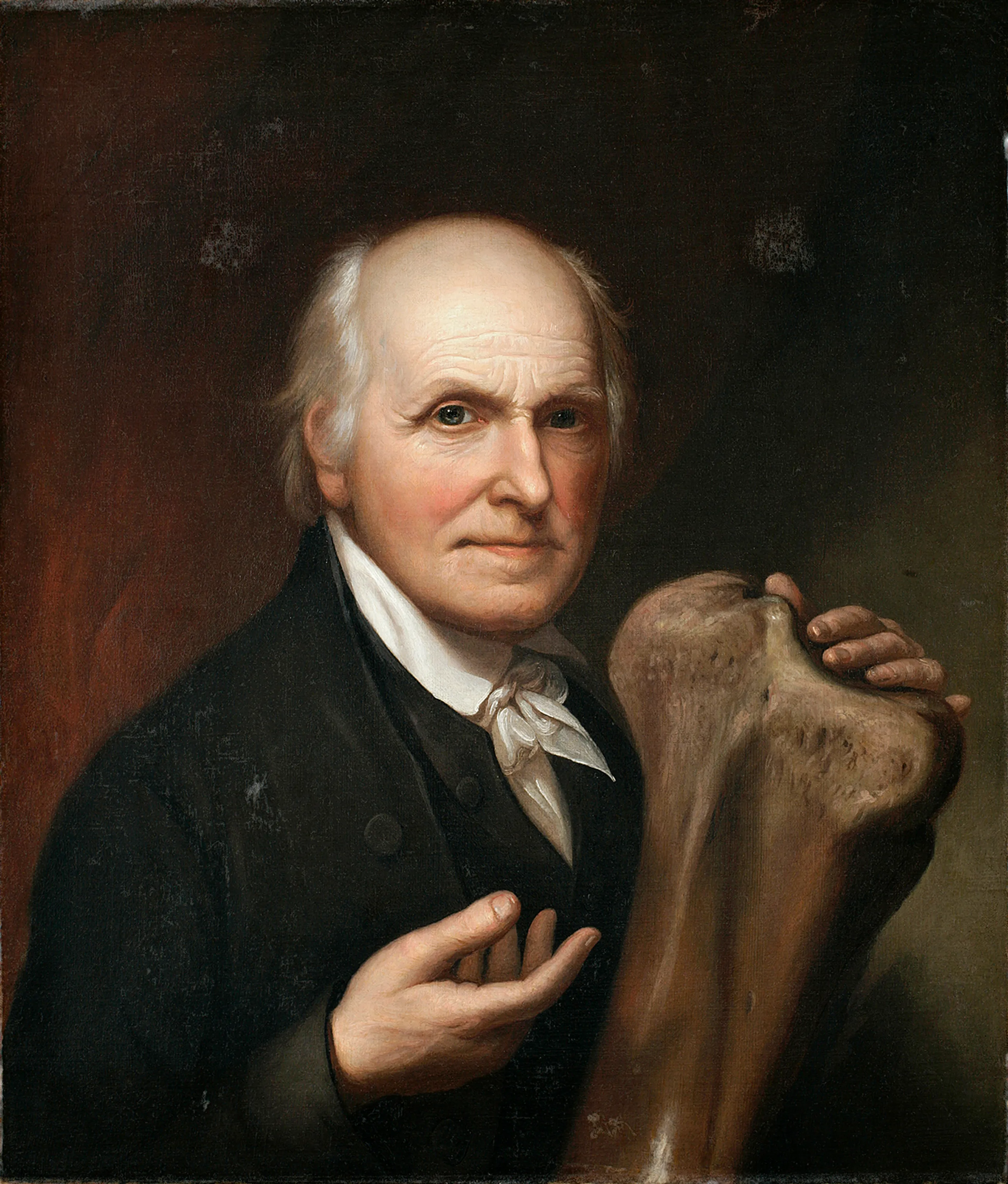 A portrait of a man holding a large mastodon bone the size of his body.
