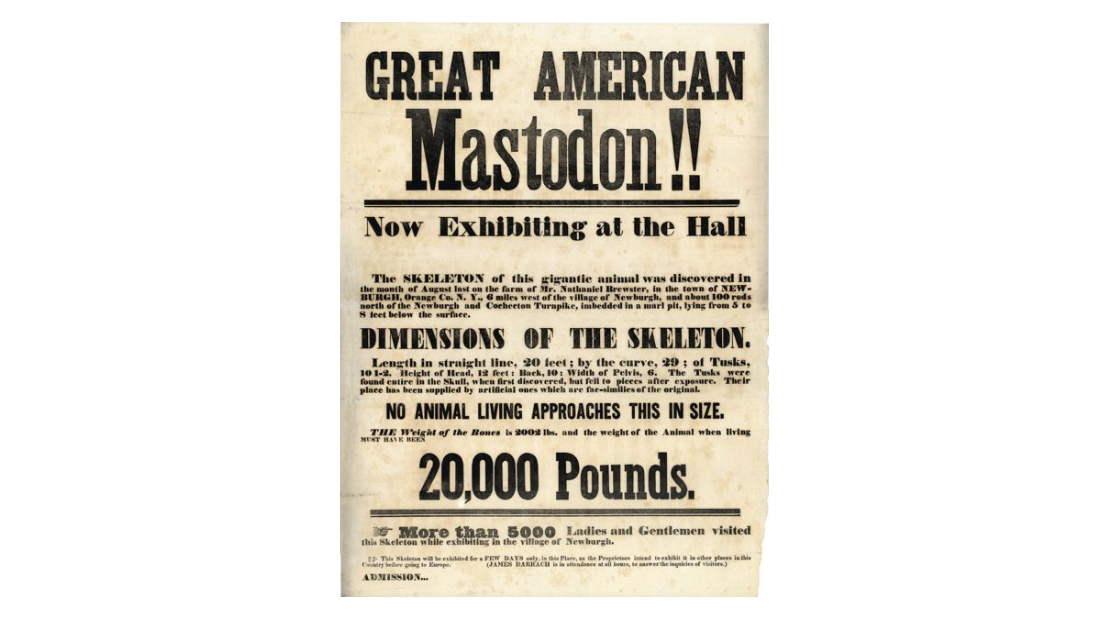 A poster declaring "Great American Mastodon!!"