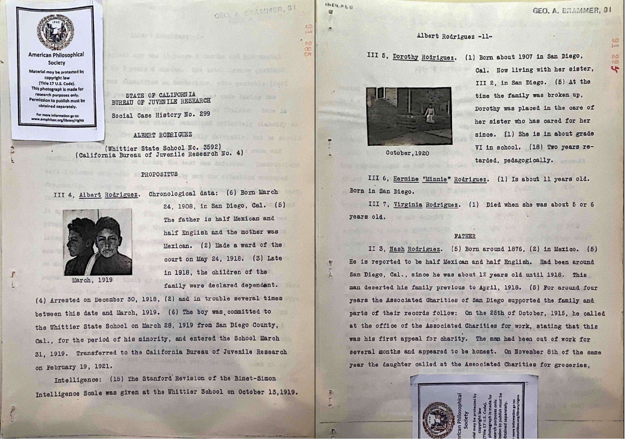Pages from a fieldwork notebook. Description below.