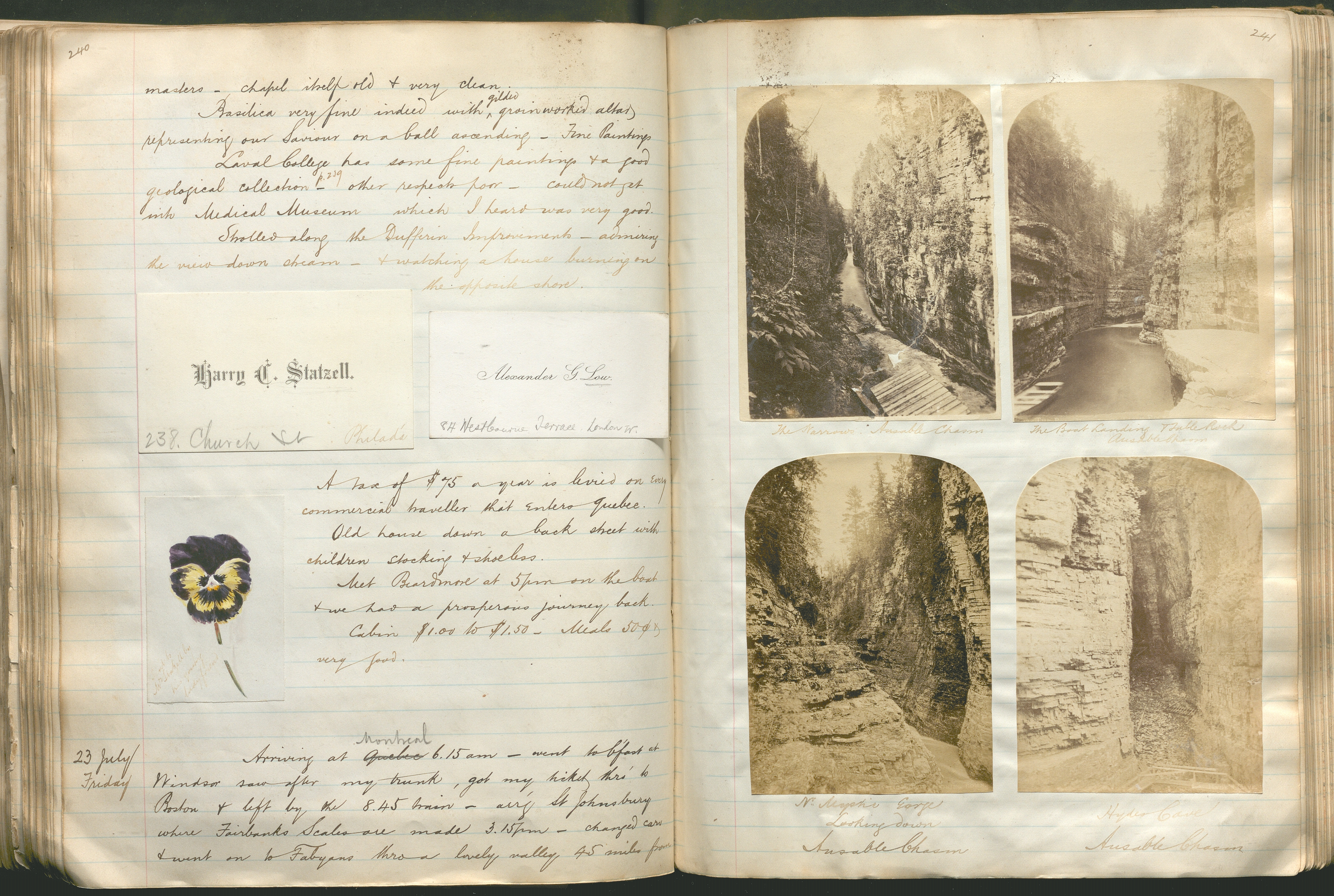 Journal open to image of flower and nature clippings