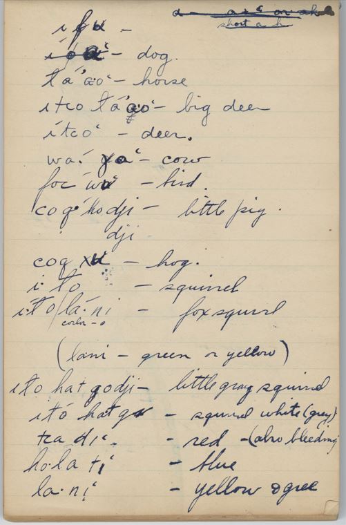 A scan of a lined piece of paper that has Mvskoke words written on the left and their English translations are provided on the right. The handwriting is somewhat difficult to read, and much of the blue ink has bled or smudged over time.