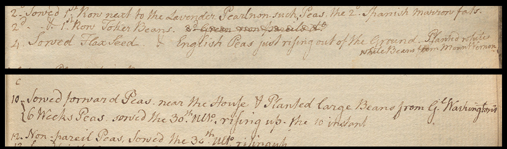Entries in Madison's weather diaries detailing beans from Washington's Mount Vernon plantation 