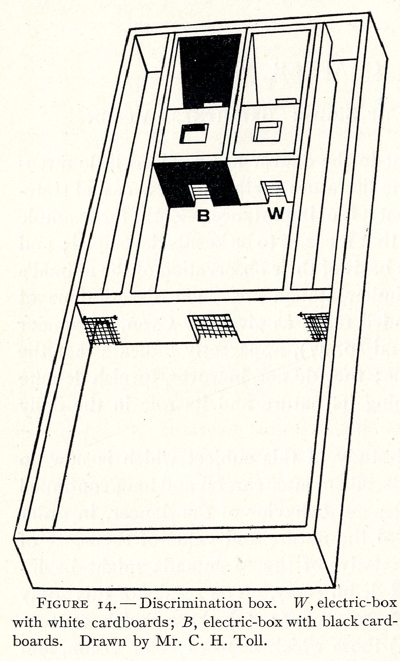 diagram of experimental equipment