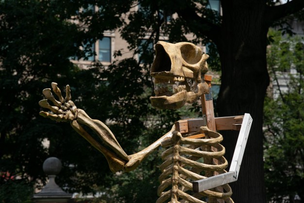 giant sloth skeleton sculpture