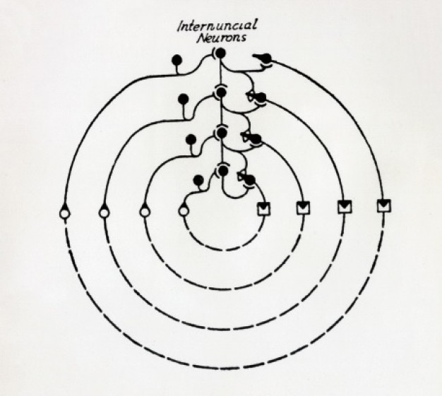 Neurons_McCulloch