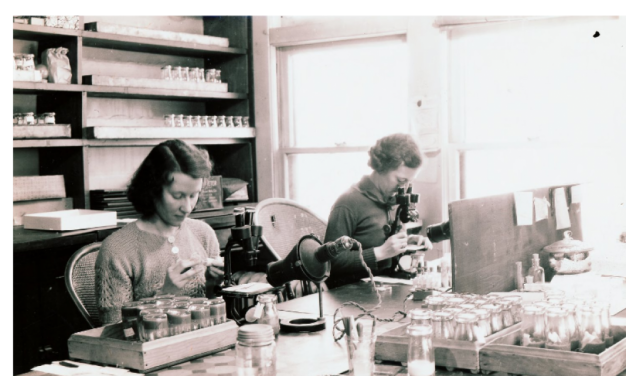 Women in Lab