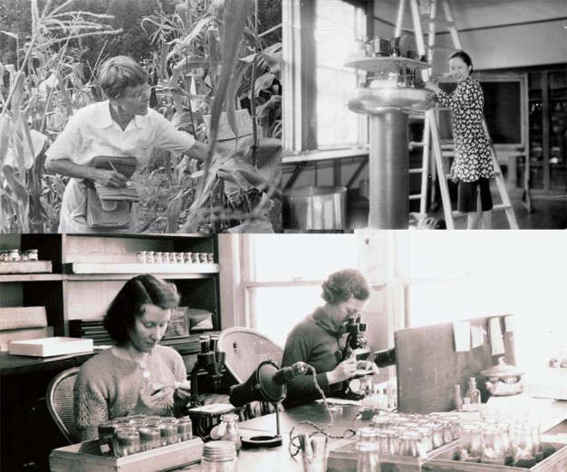 collage of three black and white photos of women working in various scientific endeavors