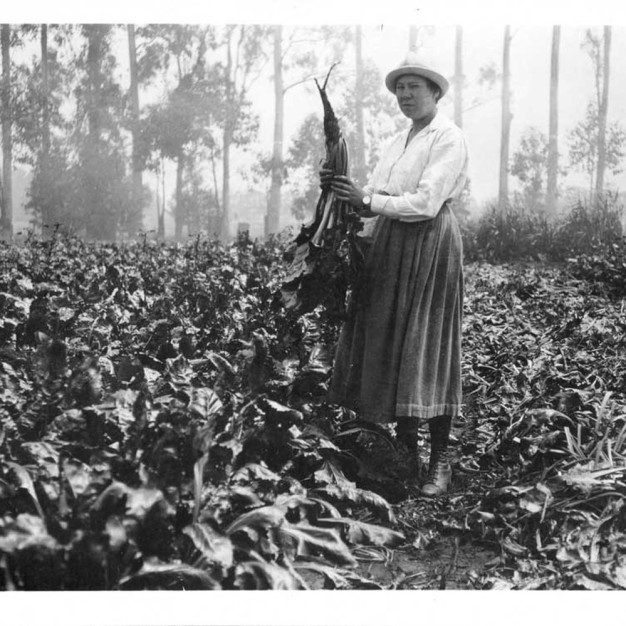 black and white photo of woman standing in beet field