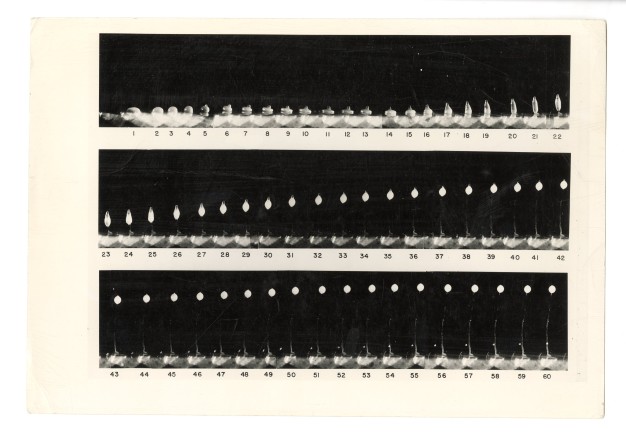 black and white photo of microscope sequence