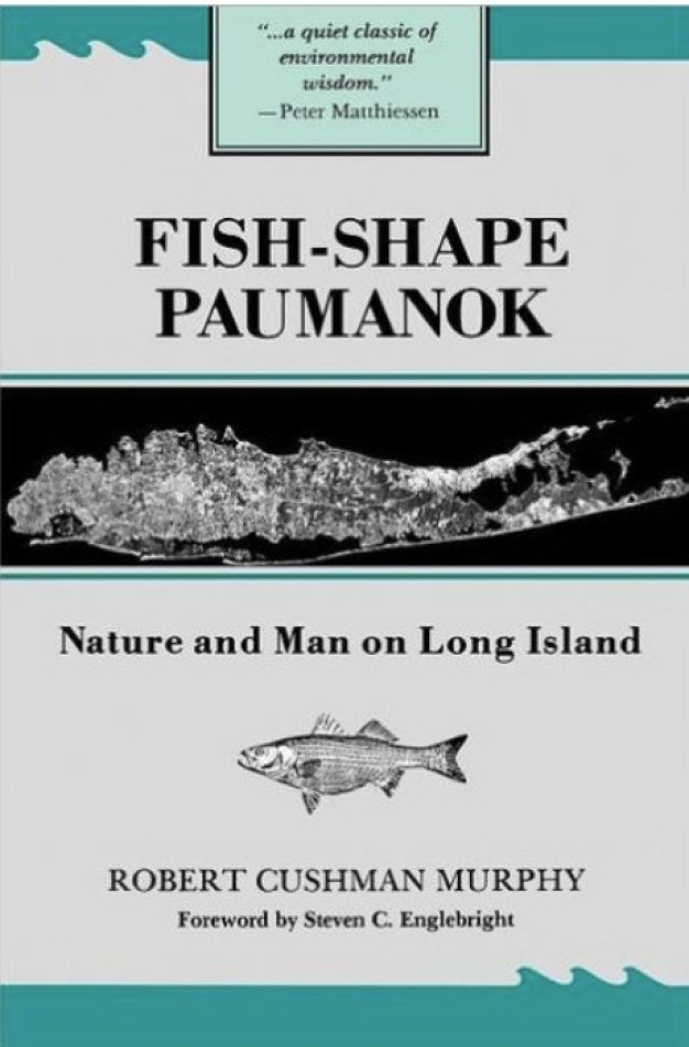 image of book cover