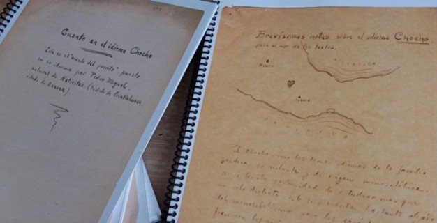Bound copies of two handwritten journals