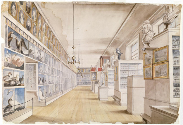 A color sketch of a museum space.