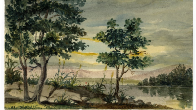 American Philosophical Society Library, Landscape: river & wood by Titian Ramsay Peale