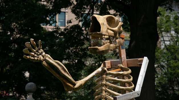 giant sloth skeleton sculpture