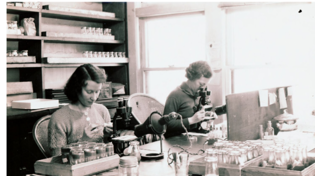 Women in Lab