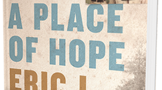 cover of madison park