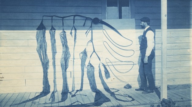 Osterhout and algae