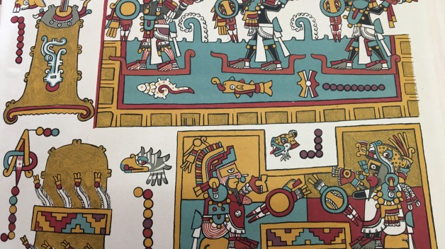 codex nuttall